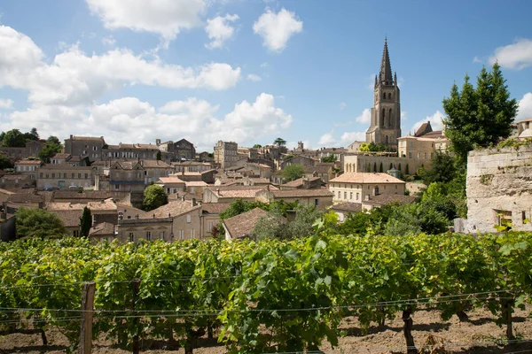 Vista Sul Paesaggio Del Quartiere Del Vino Francese Saint Emilion — Foto Stock