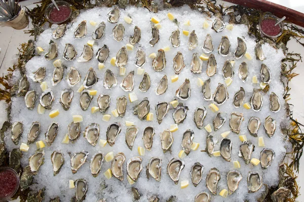 法国Arcachon Bassin新鲜冰鲜海鲜中的新鲜牡蛎 — 图库照片