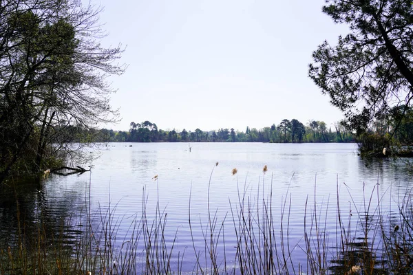 Pemandangan Air Tenang Danau Hostens Dengan Pantai Lain Cakrawala Barat — Stok Foto