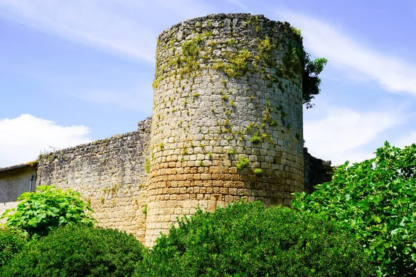 Castelo Velho Com Torre Fortificada Aldeia Rions França Gironda — Fotografia de Stock