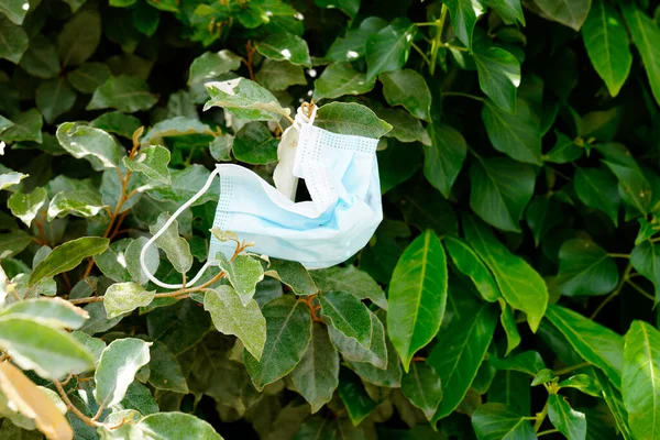 Koruyucu Tıbbi Maske Arka Plandaki Ağaç Dalında Coronavirüs Korumasını Sağladı — Stok fotoğraf