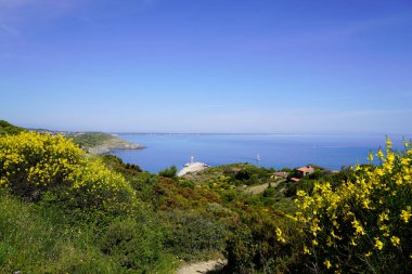 Güney Denizi sahillerinde vermeille Sahili Pireneler Doğu Masalları Languedoc-Roussillon Fransa
