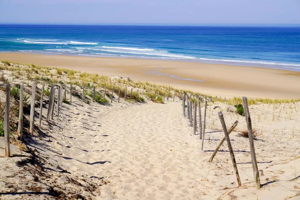 Sandy Path Way Access Beach Sea Wooden Fence Summer — Stock fotografie