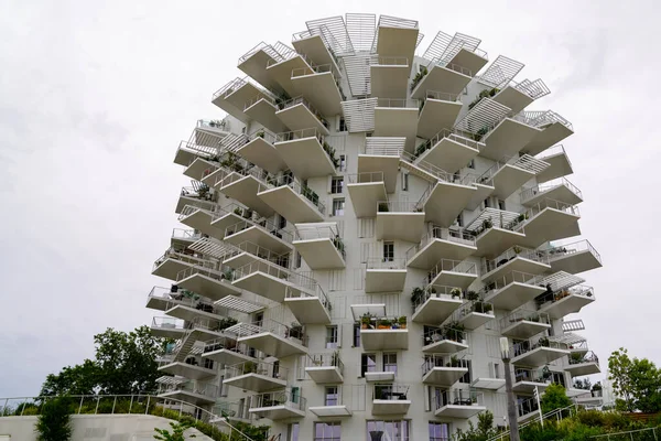 Монпелье Франция 2021 Montpellier Arbre Blanc White Tree Building Anthone — стоковое фото