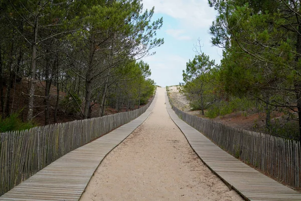 Jalan Berpasir Kayu Akses Pantai Laut Cap Ferret Perancis Gironde — Stok Foto