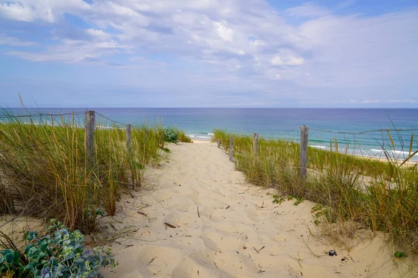 Schöne Landschaft Weg Zugang Atlantikstrand Sanddünen Cap Ferret Ozean Frankreich — Stockfoto