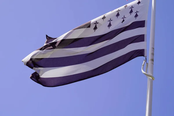 Drapeau Breton Mouche Noir Blanc Dans Ciel Bleu Français — Photo