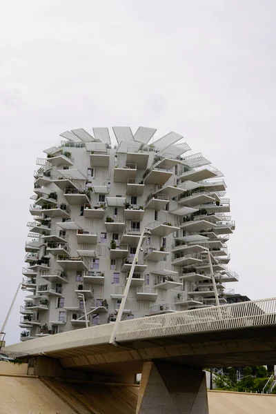 Montpellier Occitanie Francja 2021 Montpellier Arbre Blanc Przetłumacz Język Polski — Zdjęcie stockowe