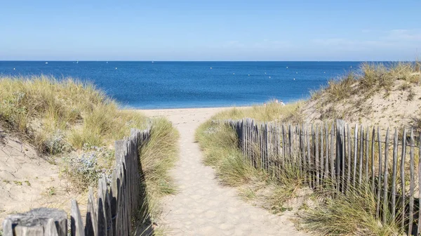 Wybrzeże Dostępu Piaszczyste Morze Patway Ogrodzenie Plaży Oceanicznej Atlantyckie Wybrzeże — Zdjęcie stockowe