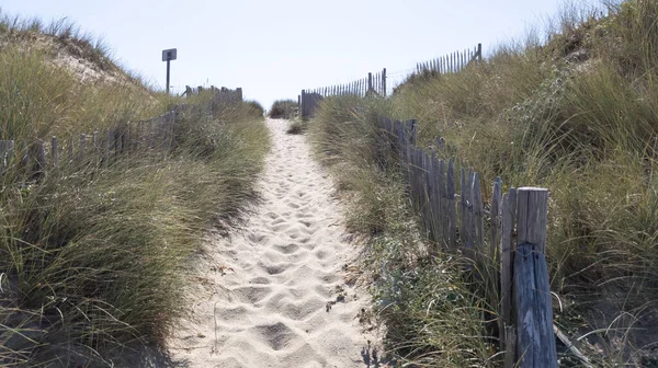 沙滩小径上的沙丘带栅栏通往海滩海 — 图库照片