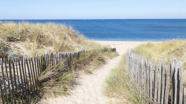 Dostęp Ocean Piaszczysta Ścieżka Ogrodzenie Drewniane Oceanu Plaża Atlantyckie Wybrzeże — Zdjęcie stockowe