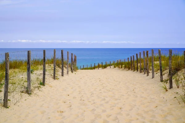 Coast Water Access Sand Dune Pathway Fence Ocean Beach Atlantic — Stock Photo, Image