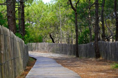 Ahşap patika deniz sahiline giriş. Kapak yaban gelinciği okyanus atlantiği Fransa 'da ahşap çitler var.