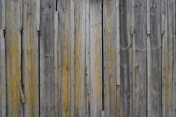 Grün Braun Holz Textur Hintergrund Vertikale Dielen Holz Wand — Stockfoto