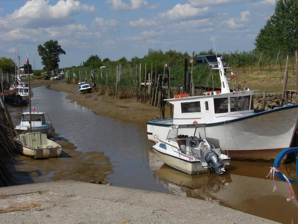 Landschap — Stockfoto