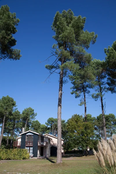 Hus för livet — Stockfoto