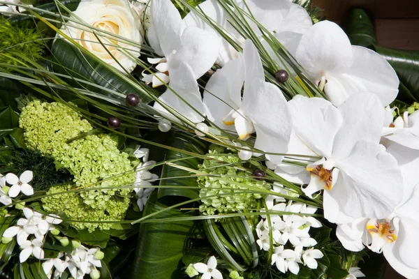 Flowers for wedding — Stock Photo, Image