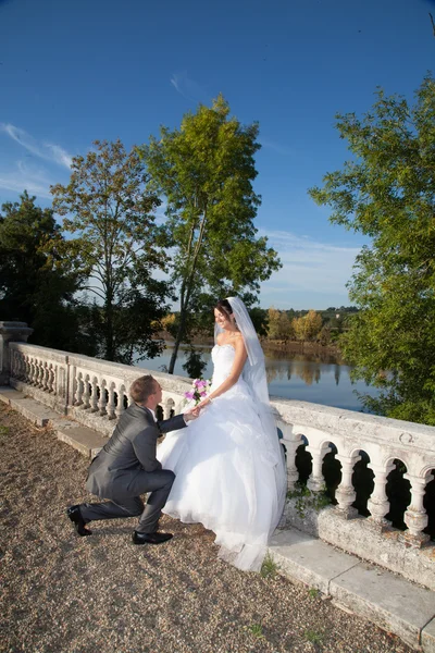 Loving wedding — Stock Photo, Image