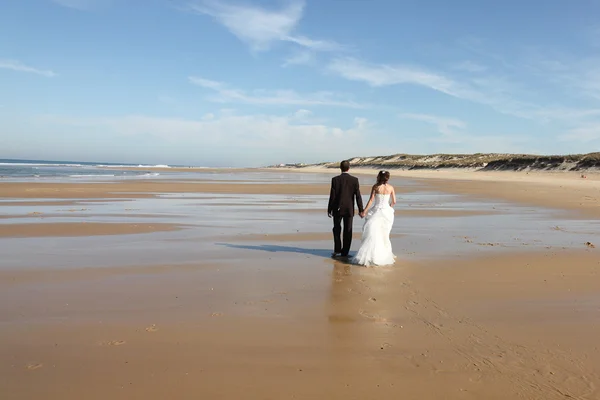 Amor de boda — Foto de Stock