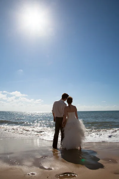 Amor de boda — Foto de Stock