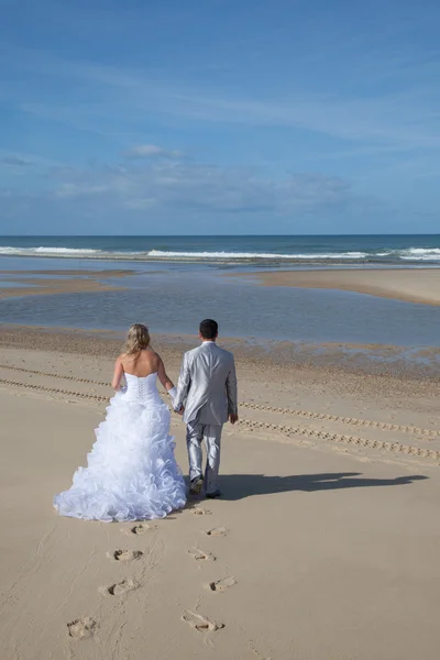 Amor de boda — Foto de Stock