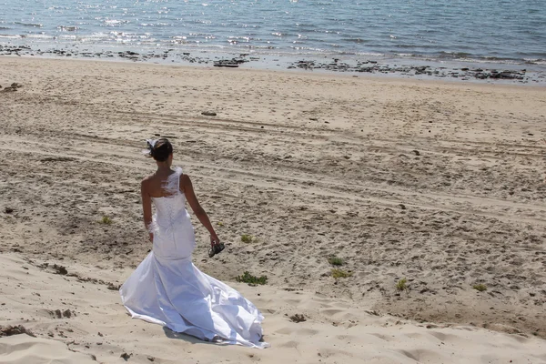 Amor de boda — Foto de Stock