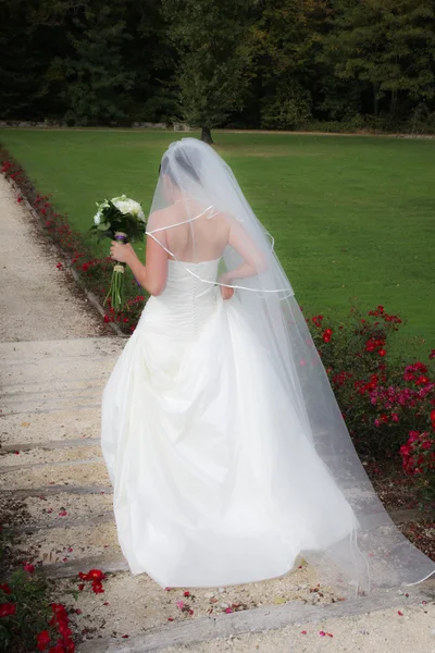 Femme de mariage — Photo