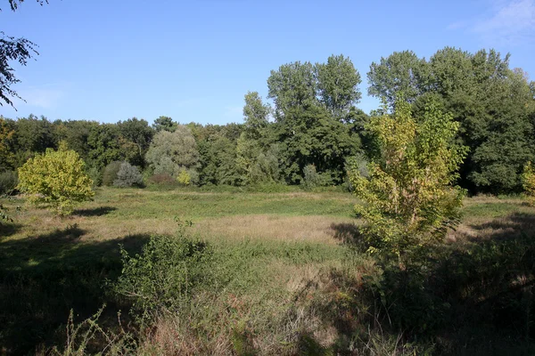 Prachtig landschap — Stockfoto