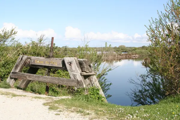 Krásná krajina — Stock fotografie