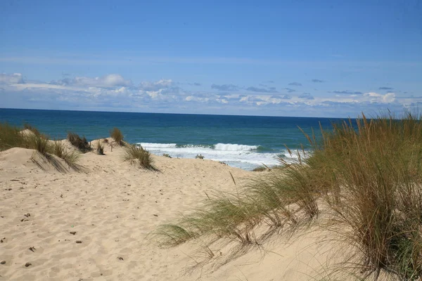 Oceano Paesaggio — Foto Stock