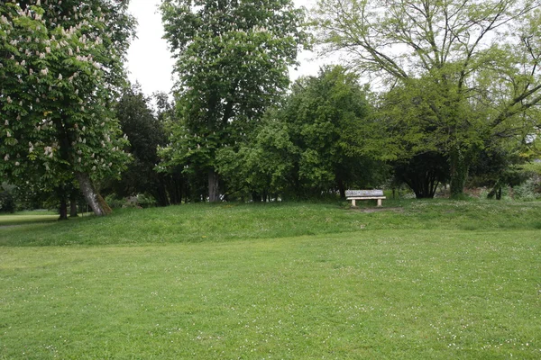 Grüne Landschaft — Stockfoto