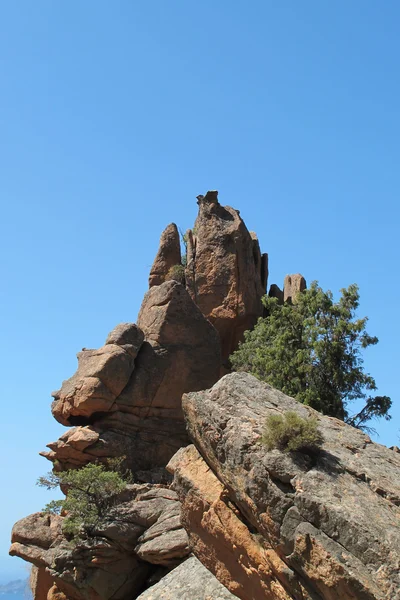 夏季风景 — 图库照片