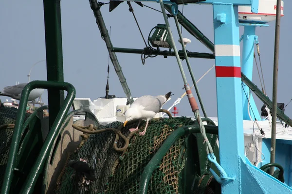 En el barco — Foto de Stock