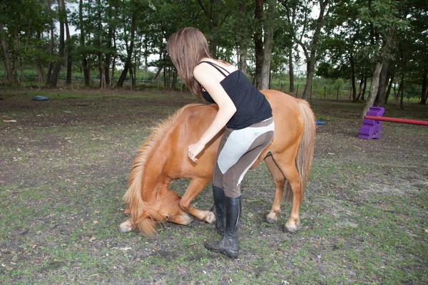 Girl training poney to a showjumping — Stock Photo, Image