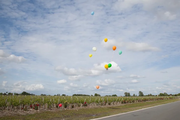Balloons above a vineyard — Stock Photo, Image