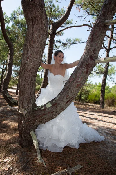 Nice and a Beautiful bride outdoors — Stock Photo, Image