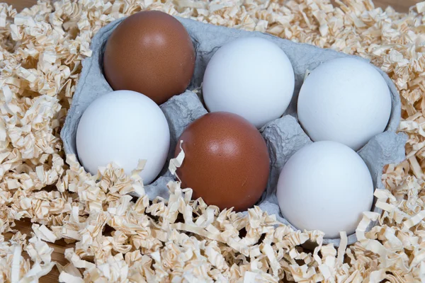 Белые и коричневые яйца в коробке — стоковое фото