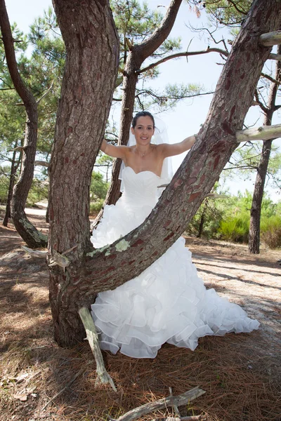 No dia do casamento na praia — Fotografia de Stock