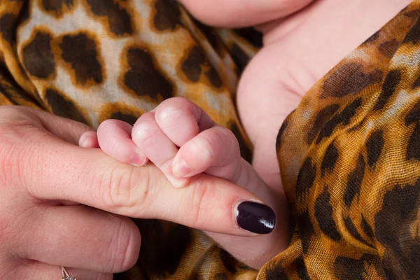 Parent's hand holding newborn — Stock Photo, Image