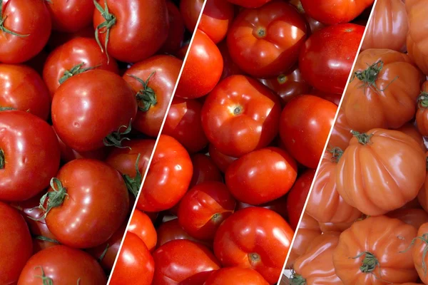 Antecedentes de tomates de bife, tomates de uvas vermelhas — Fotografia de Stock