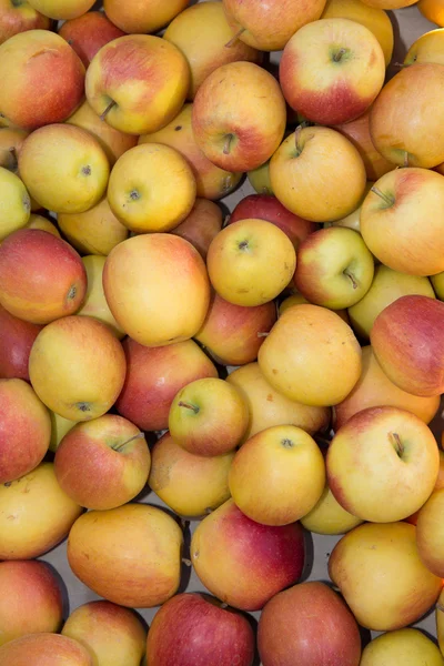 At the market — Stock Photo, Image