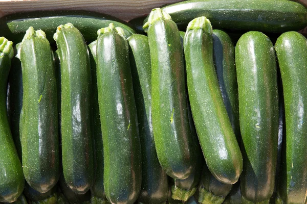 Courgettes or zucchini — Stock Photo, Image