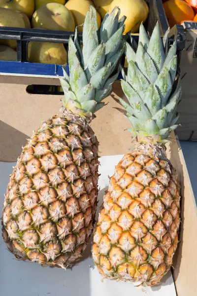 On the market, fruits — Stock Photo, Image