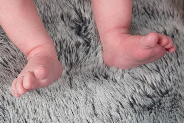 Un padre tiene i piedi del suo bambino appena nato — Foto Stock