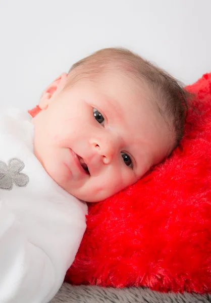 Baby lying on blanket of  gray hair background isolated — Stock Photo, Image