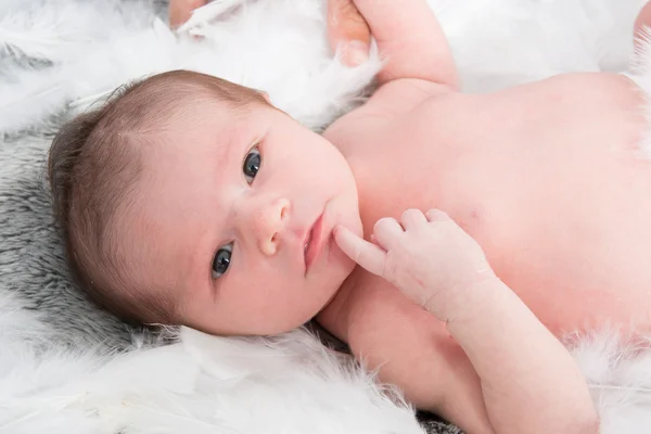 Newborn caucasian baby — Stock Photo, Image