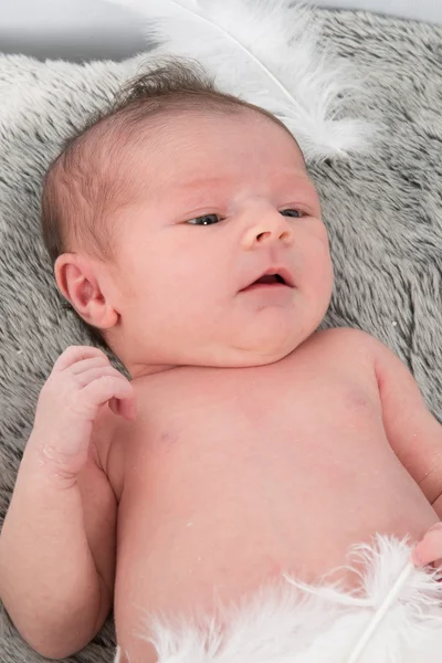 A cute baby  looking at the camera studio shot — Stock Photo, Image