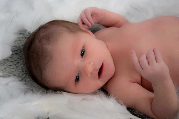 Bebê recém-nascido olhando para a câmera — Fotografia de Stock