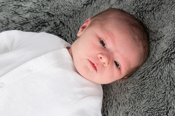 Muy lindo bebé de un mes en una manta gris — Foto de Stock