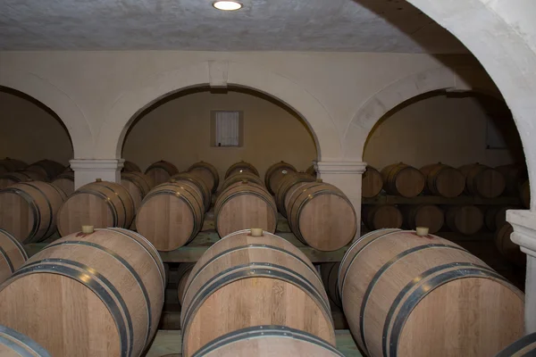 Oude kelder van de winery. — Stockfoto